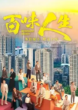 雾中来客年代剧海报